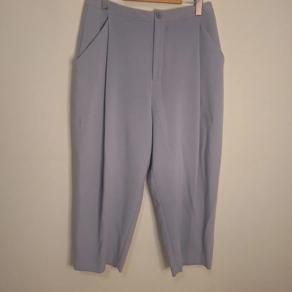 Frank & Oak balloon/barrel leg extra high waist cropped pantsSZ L